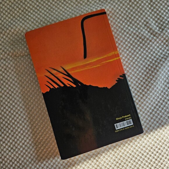 INDIA RELIGIOUS RADHASWAMI SATSANG VYAS :‎ DIVYA PRAKASH MAHARAJ CHARAN SINGHJI - Picture 6 of 6